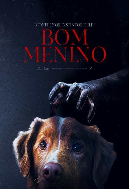 Poster filme Bom Menino