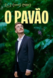 O Pavão
