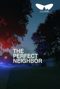 A Vizinha Perfeita